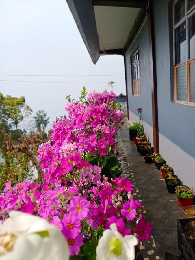Aakeet Lyang Homestay Kurseong Ngoại thất bức ảnh