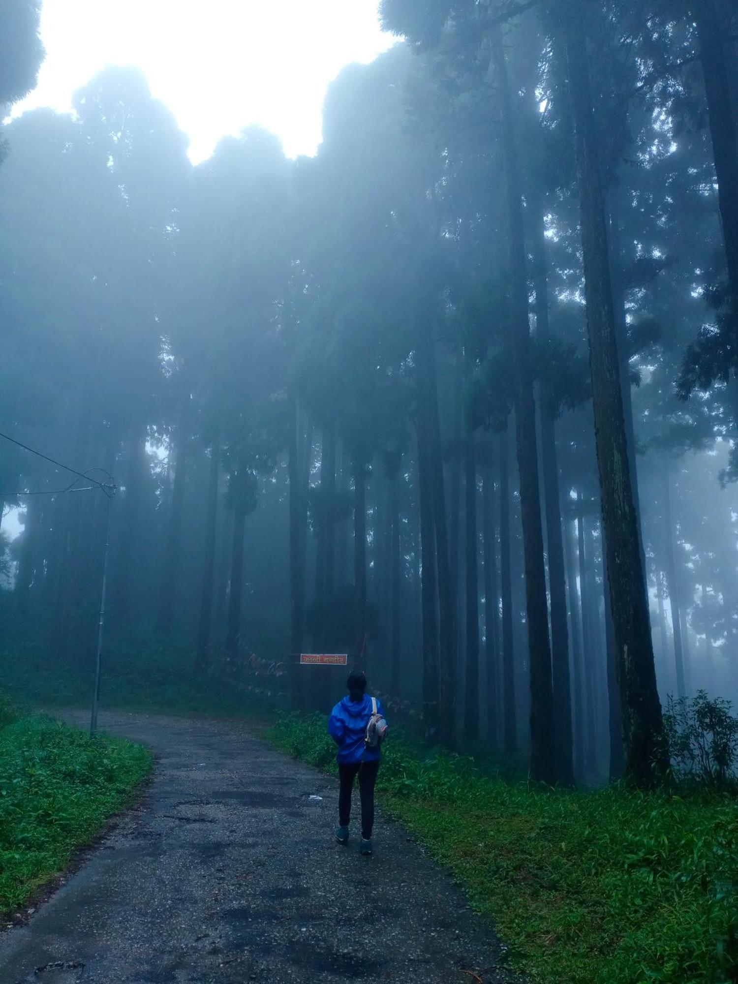 Aakeet Lyang Homestay Kurseong Ngoại thất bức ảnh